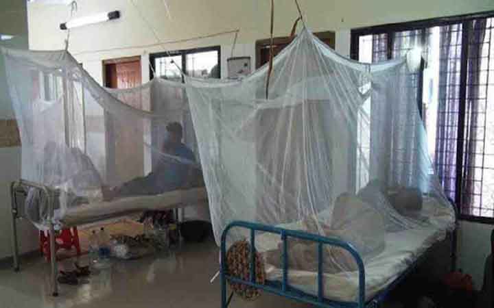 ডেঙ্গু : এক দিনে আরো ৫৩ রোগী হাসপাতালে